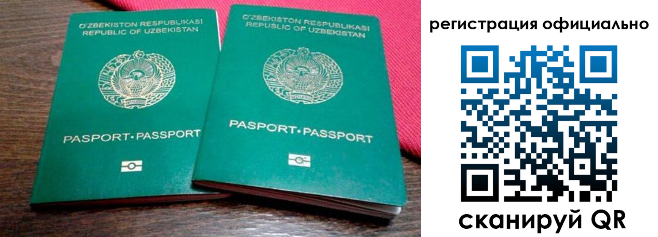 прописка регистрация в Завитинске